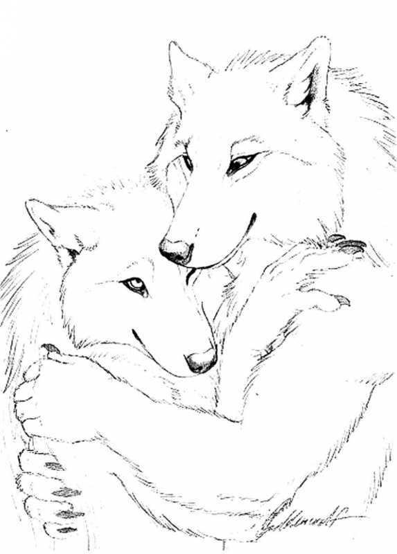 Волчица рисунок карандашом
