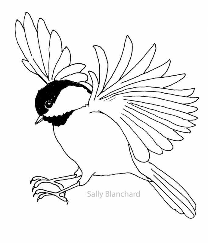 Трафареты птиц для рисования