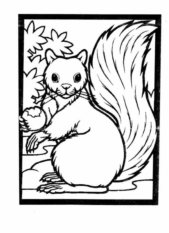 Белочка раскраска для детей