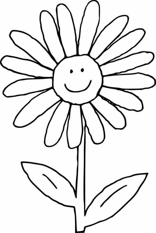 Ромашка раскраска