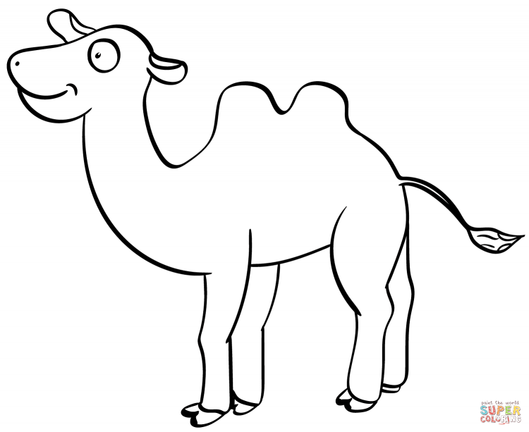 Верблюд рисунок