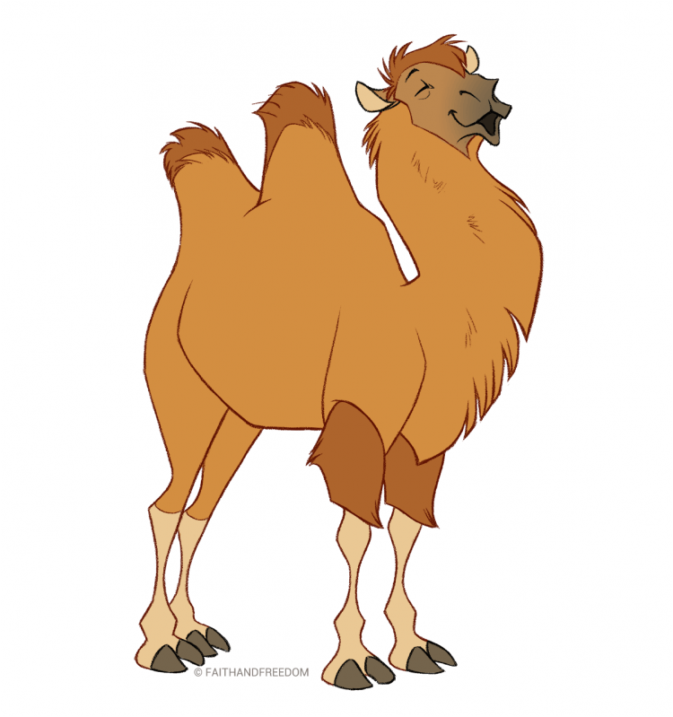 Верблюд раскраска для детей