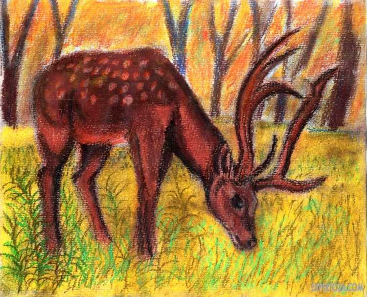 Олень сухой пастелью