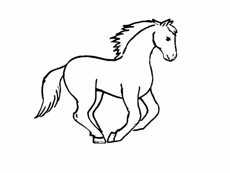 Лошадь рисунок раскраска