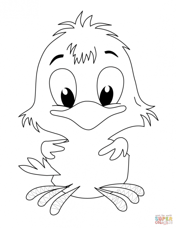 Рисунок цыпленка для раскрашивания