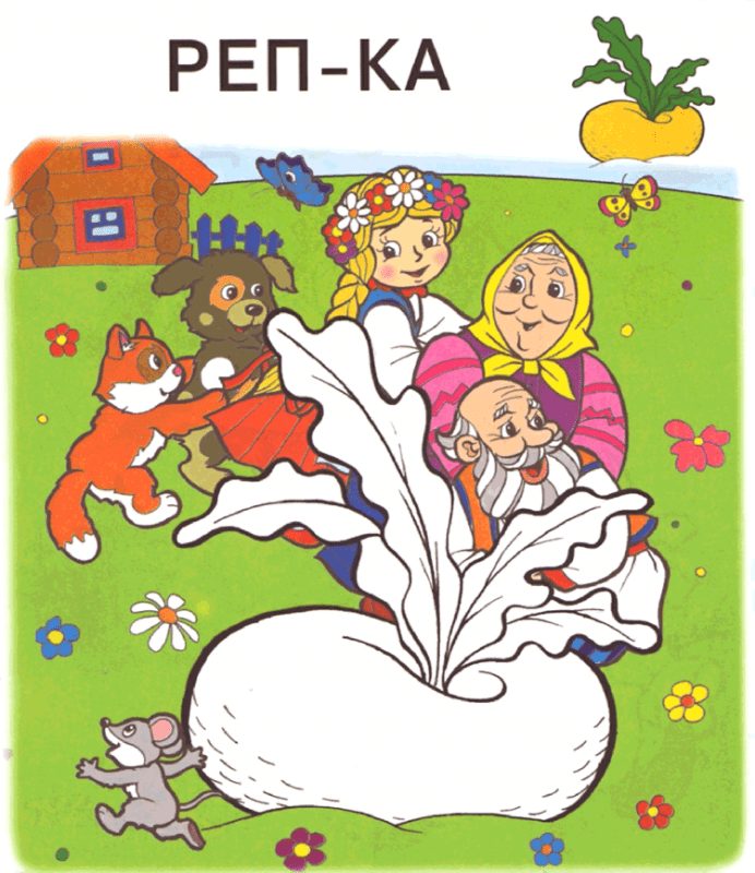 Редиска контур