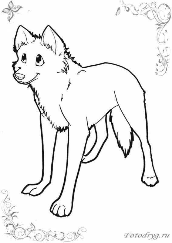 Волк раскраска для детей