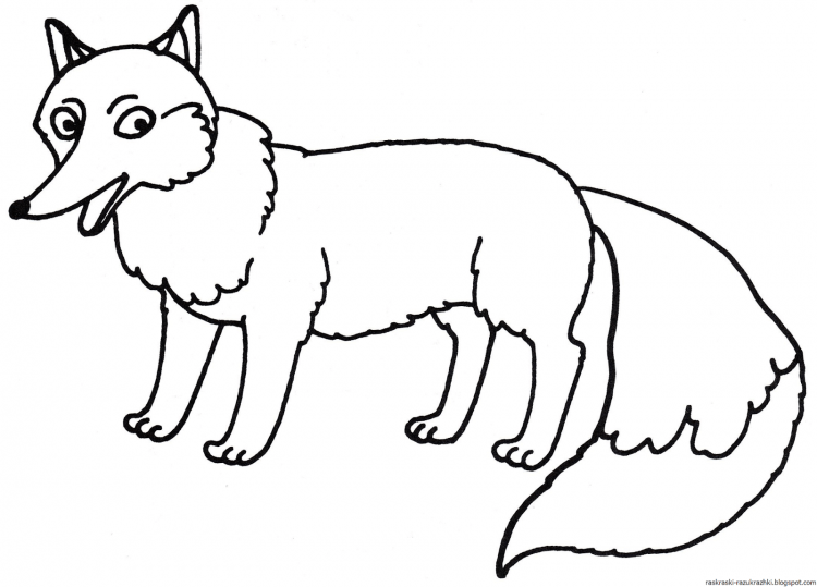 Раскраска лиса