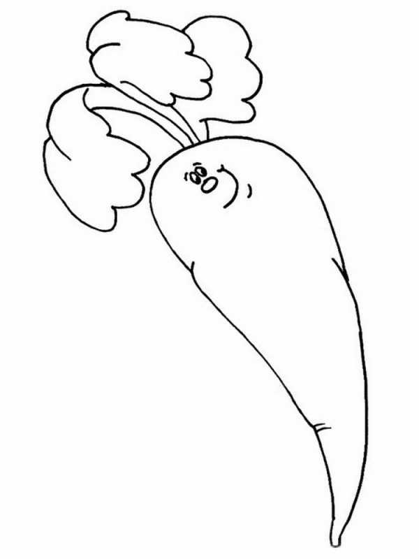 Морковь раскраска для детей