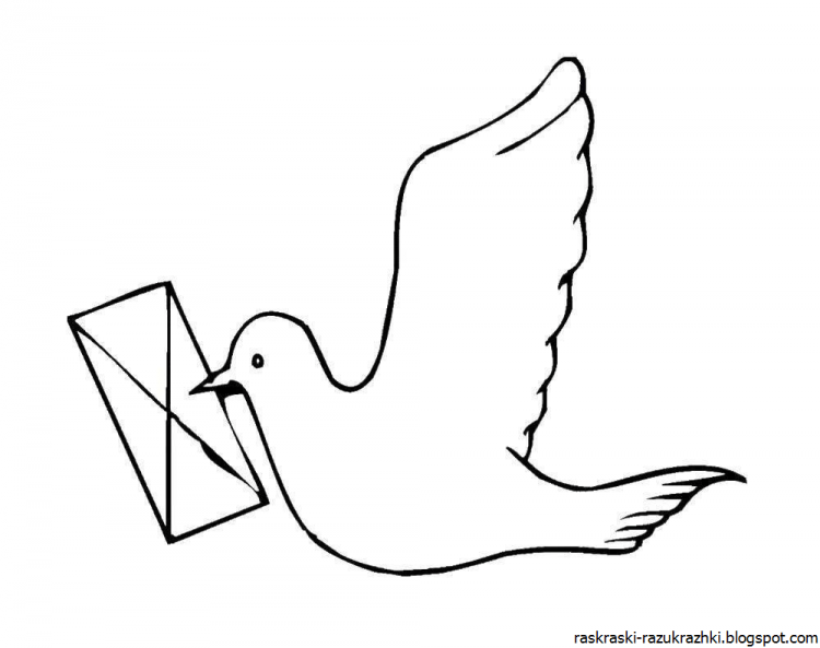 Птицы для срисовки