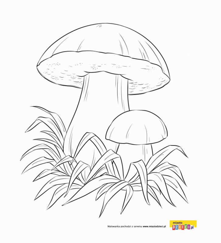 Раскраска гриб сыроежка