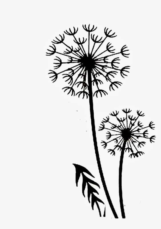 Раскраска цветы по образцу