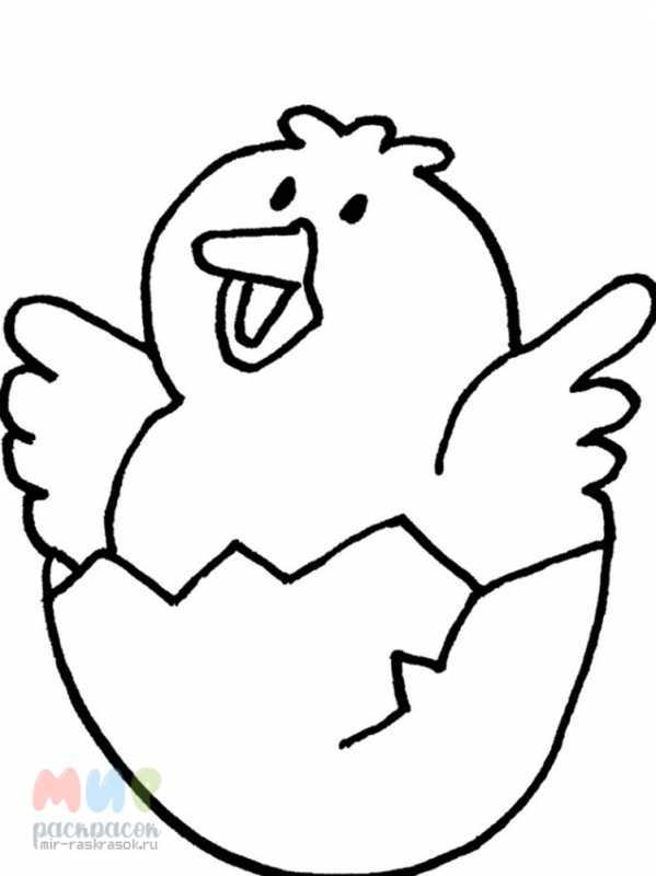 Цыпленок раскраска для малышей