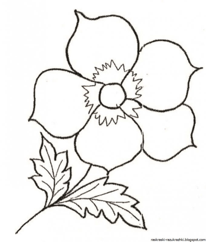 Трафареты цветов для рисования для детей