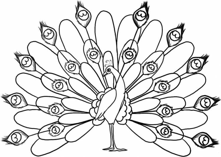 Птичка раскраска