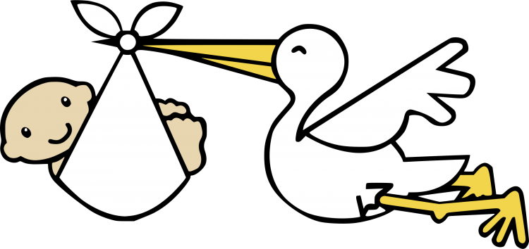 Рисуем аиста с открытым клювом с детьми