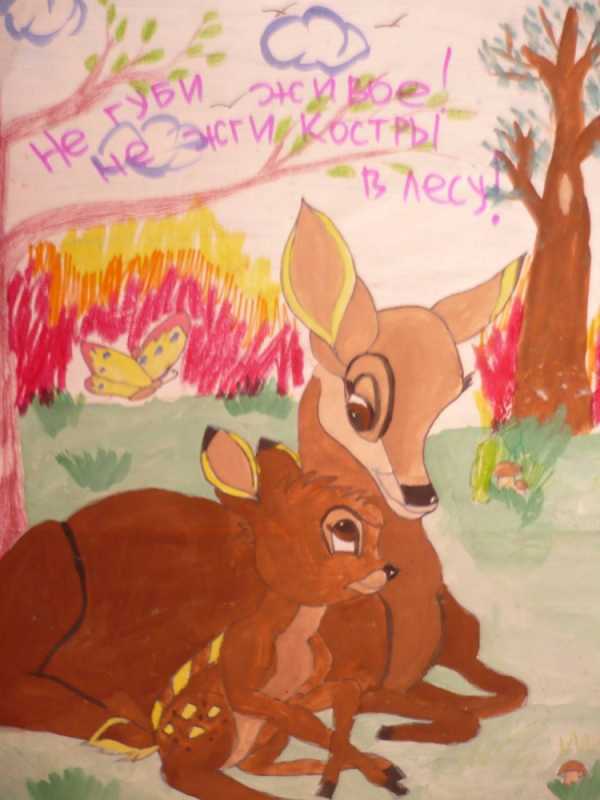 Берегите животных