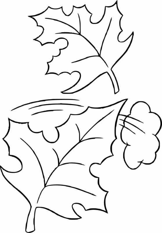 Раскраски на осенний бал