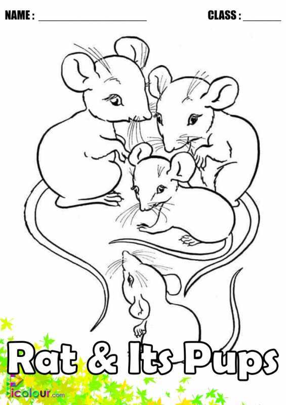 Мышка набросок