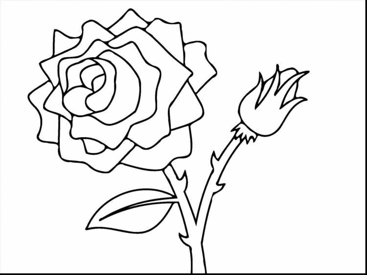 Ромашка раскраска