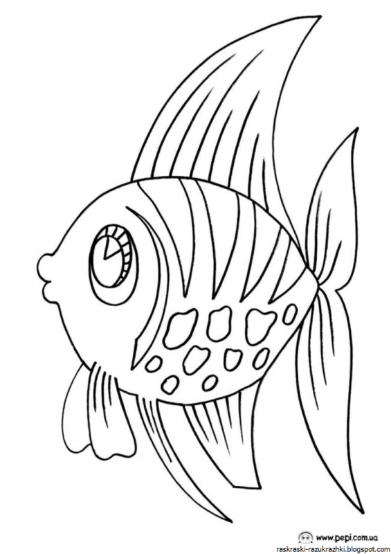 Рыба раскраска