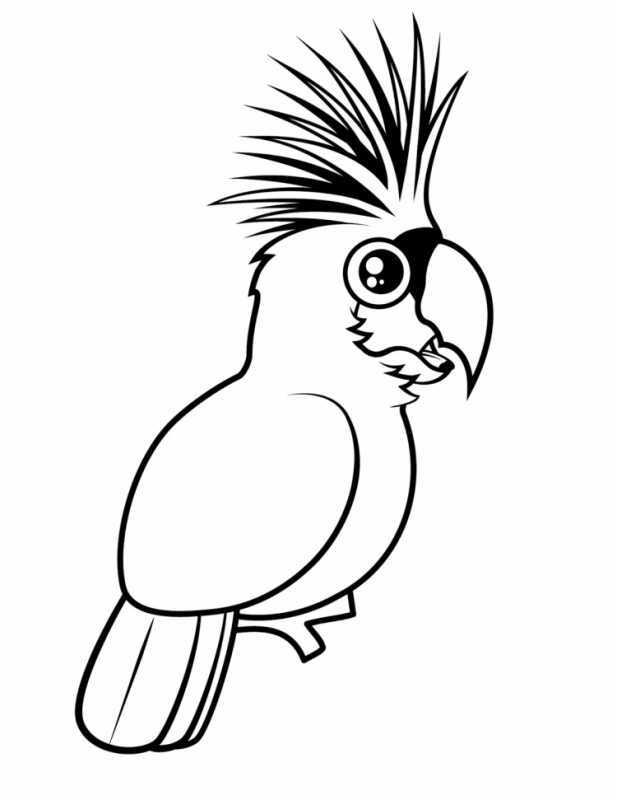 Птицы. Раскраска