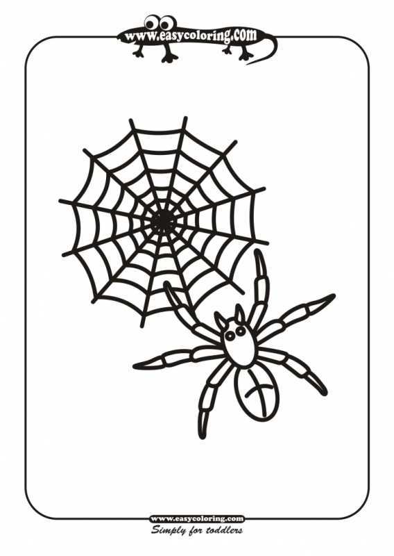 Раскраска паук на паутине