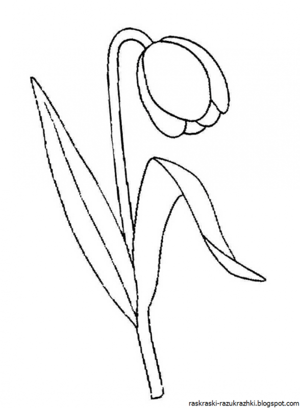 Раскраски весенних цветов