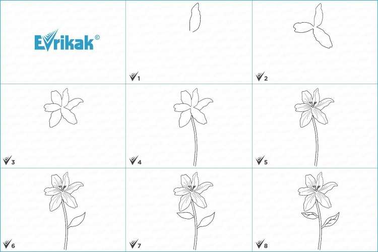 Лёгкие цветы для рисования