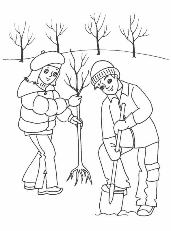 Птицы раскраска для детей