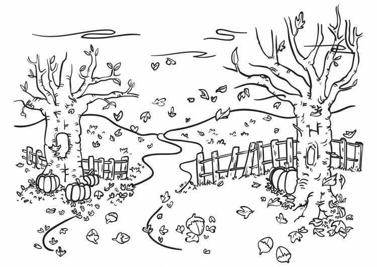 Сказочные принцессы. Раскраски