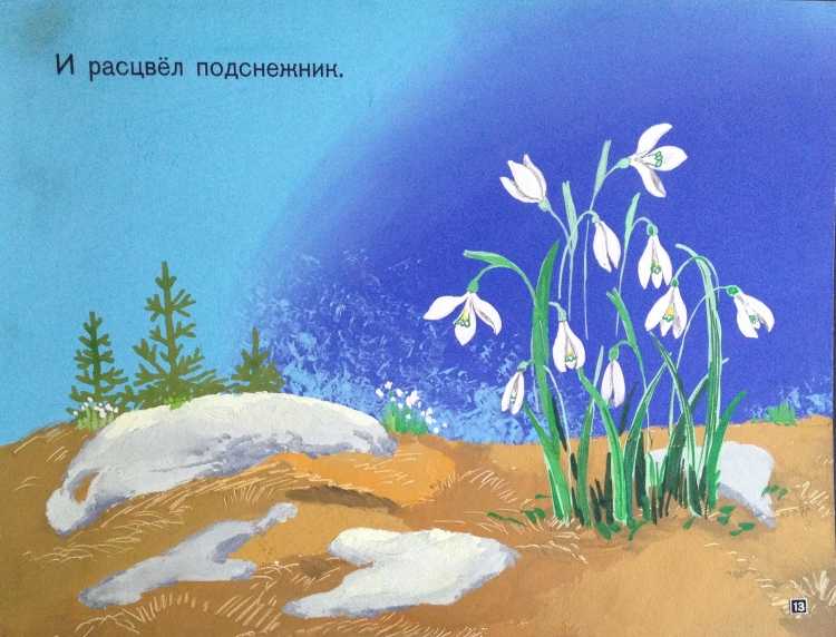 Подснежники вектор