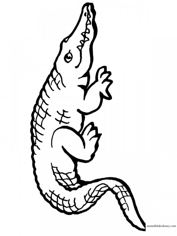 Добрый крокодил раскраска