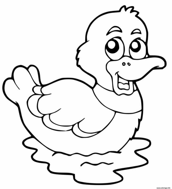 Рисунок утки раскраска