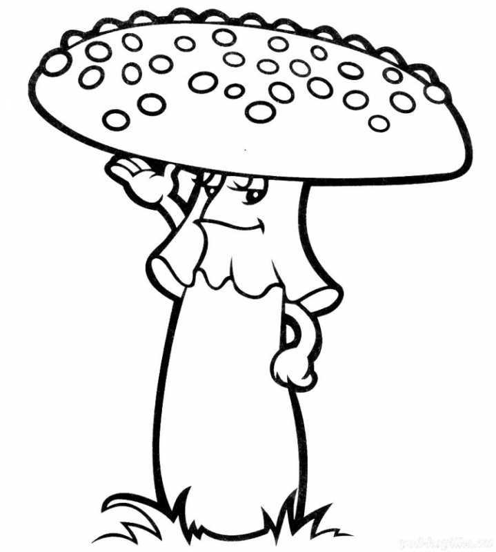 Раскраски грибы ягоды