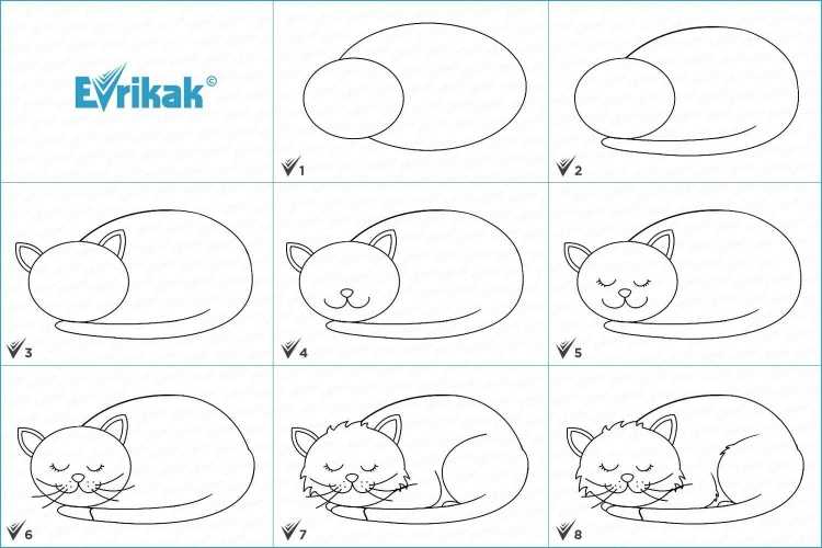 Поэтапное рисование кошки