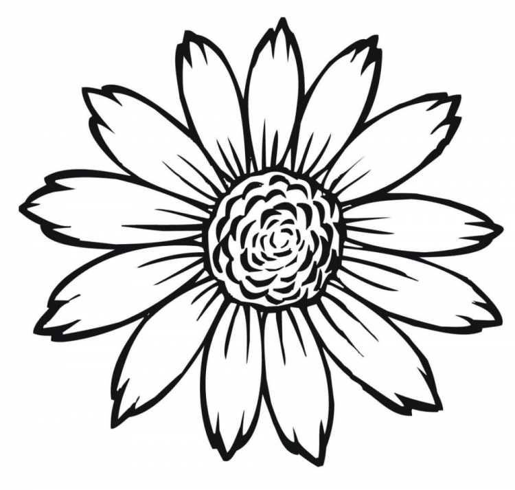 Цветок шаблон