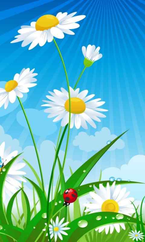 Летняя природа для детей