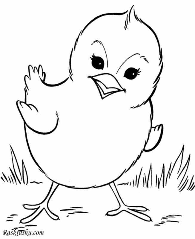 Картинка раскраска смешной цыплёнок