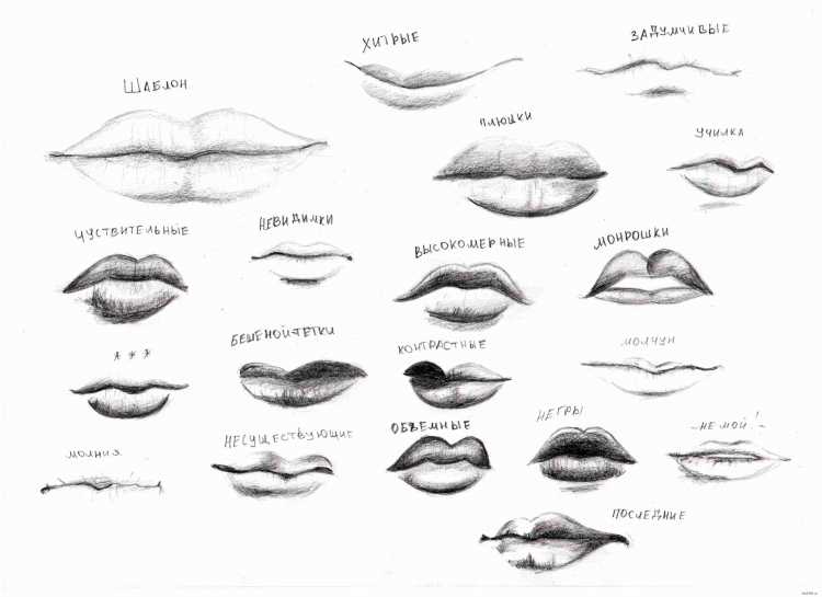 Формы губ карандашом