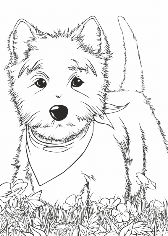 Раскраска "собаки"