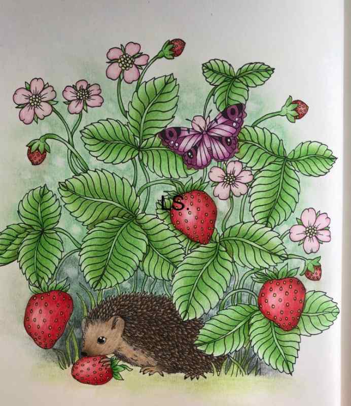 Рисование Ягодная Поляна с детьми