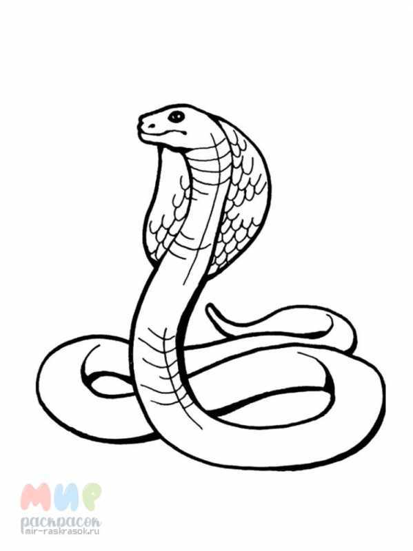 Змея раскраска