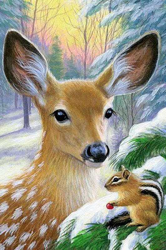 Иллюстрации животных