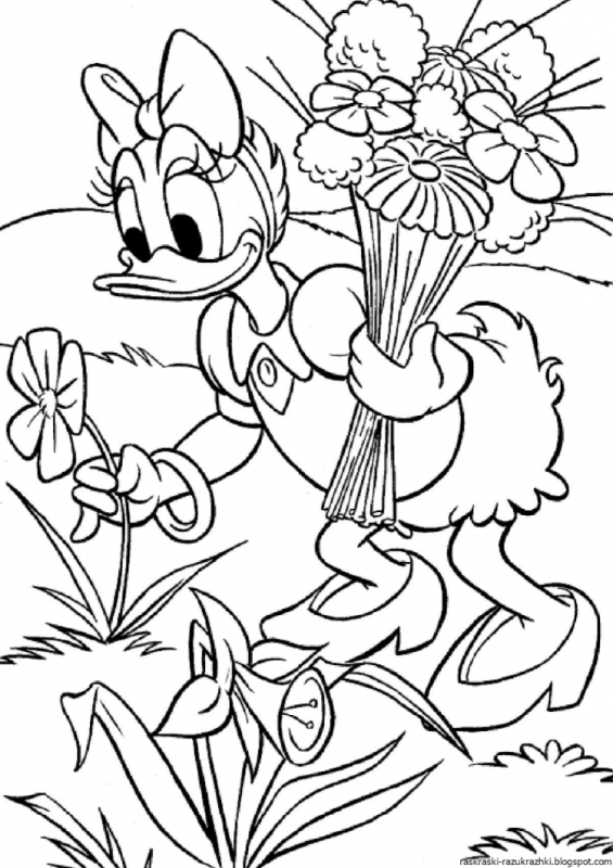 Птицы раскраска для детей