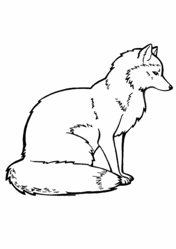 Раскраска лисы