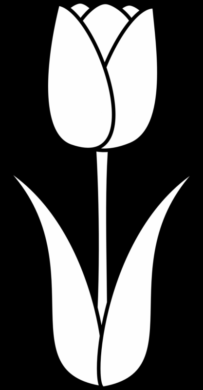 Раскраска цветы тюльпаны