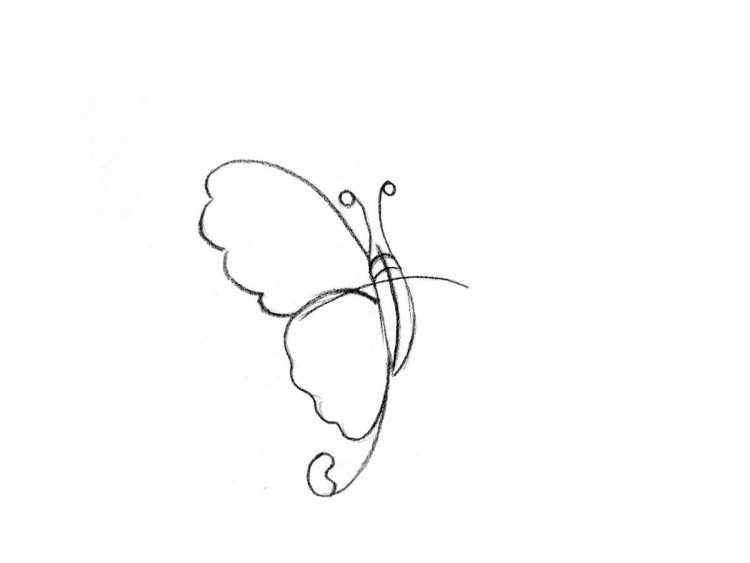 Бабочка карандашом поэтапно