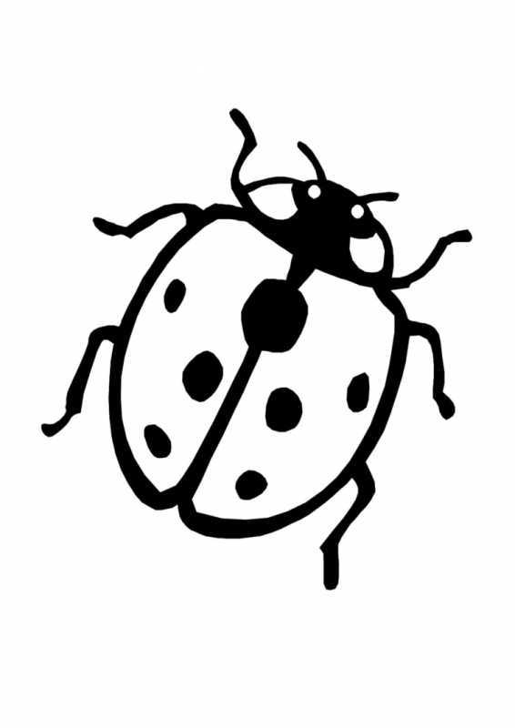 Божья коровка картинка для детей раскраска