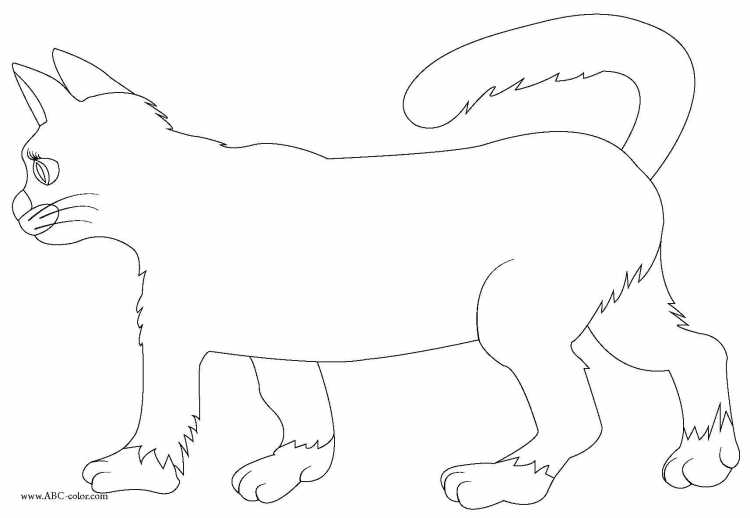 Поэтапный рисунок котенка